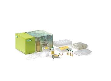 GMO Real-Time PCR Starter Kit
